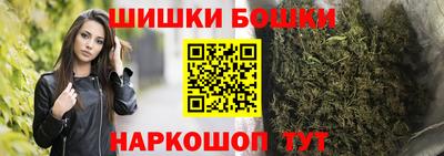 крисы Новокубанск