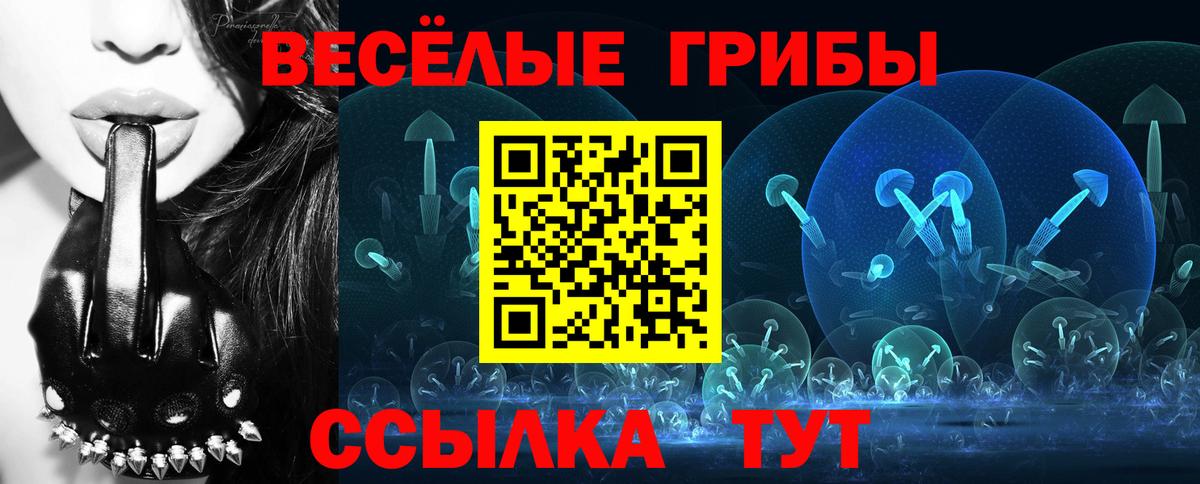 Галлюциногенные грибы Psilocybine cubensis  Вход с VPN  Стрежевой 